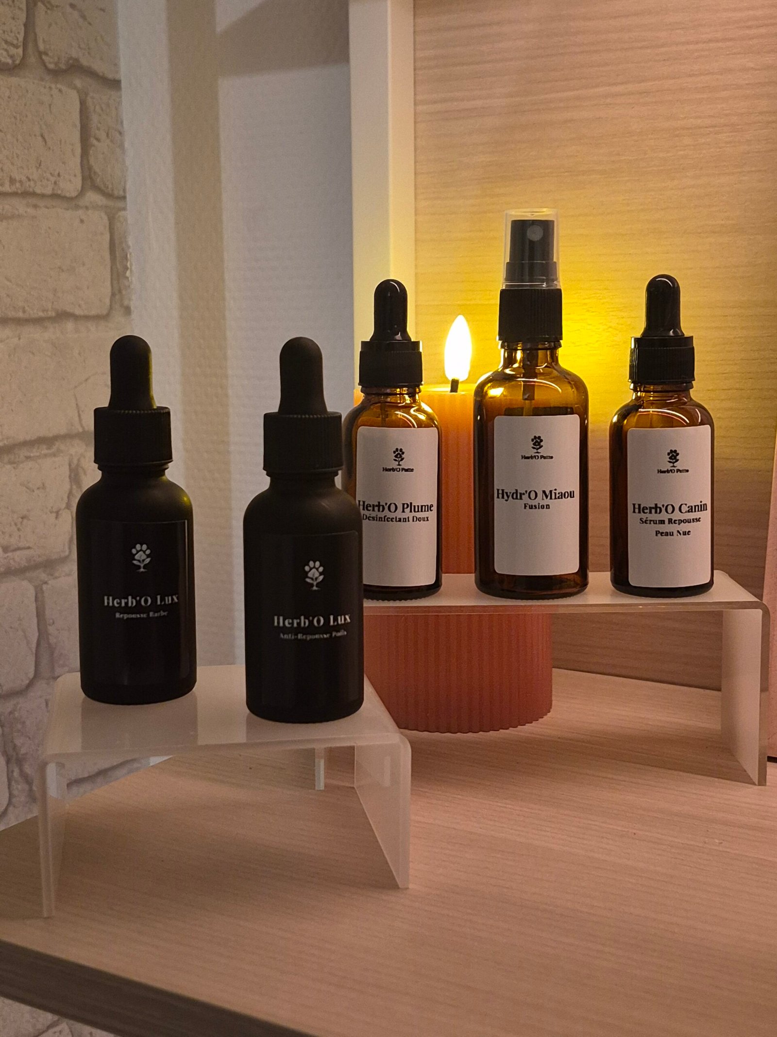 Produit animaux Herb'O Patte Produit humain Herb'O Humain Produit Intérieur Herb'O Cocon Herb'O Patte