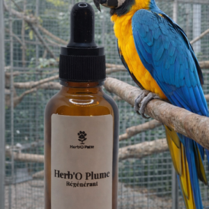Herb'O Plume