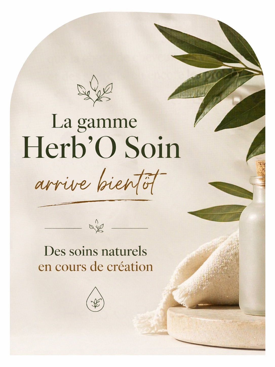 Gamme Herb'O Soin Arrive Bientôt 