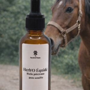 Herb'O Equidé