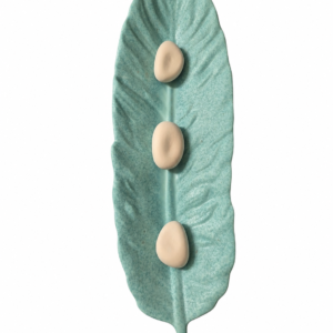 Herb’O Diffuseur Naturel Plume